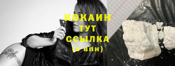 стаф Майский